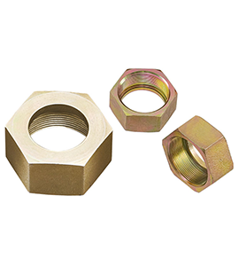 Project Image 1